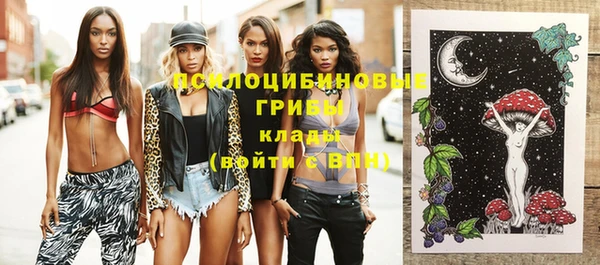 МДПВ Белокуриха